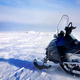 Husky & Snowmobile in Lapland